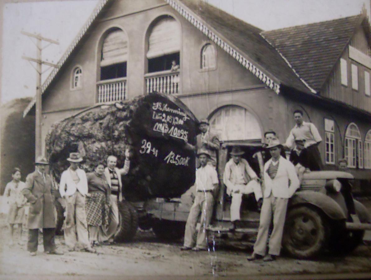 Hotel Scholze Canoinhas Exterior photo